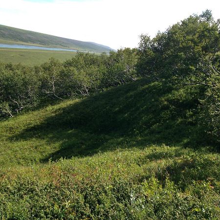 Hlitharendi Guesthouse Godafoss Екстериор снимка